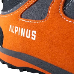 Buty trekkingowe The Ridge Low Pro<Alpinus Best