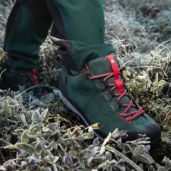 Buty trekkingowe Peneda Low HDTX<Alpinus New