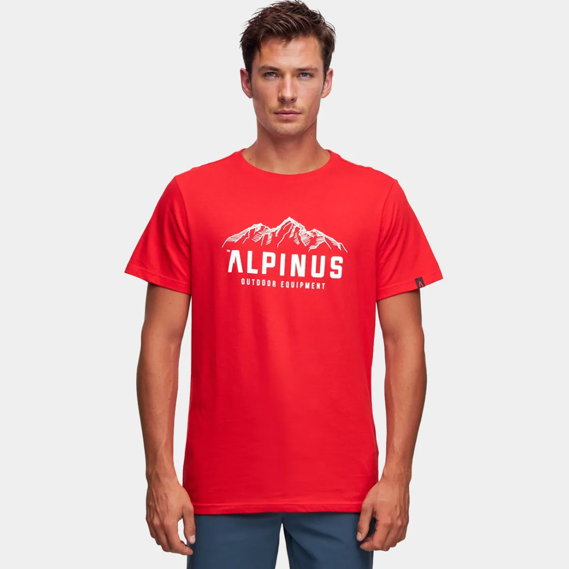 Koszulka męska Mountains<Alpinus Outlet