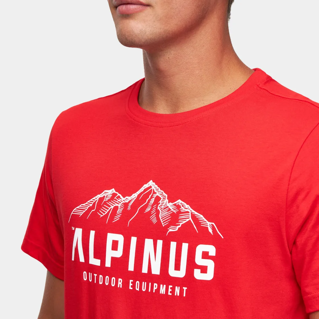 Koszulka męska Mountains<Alpinus Outlet