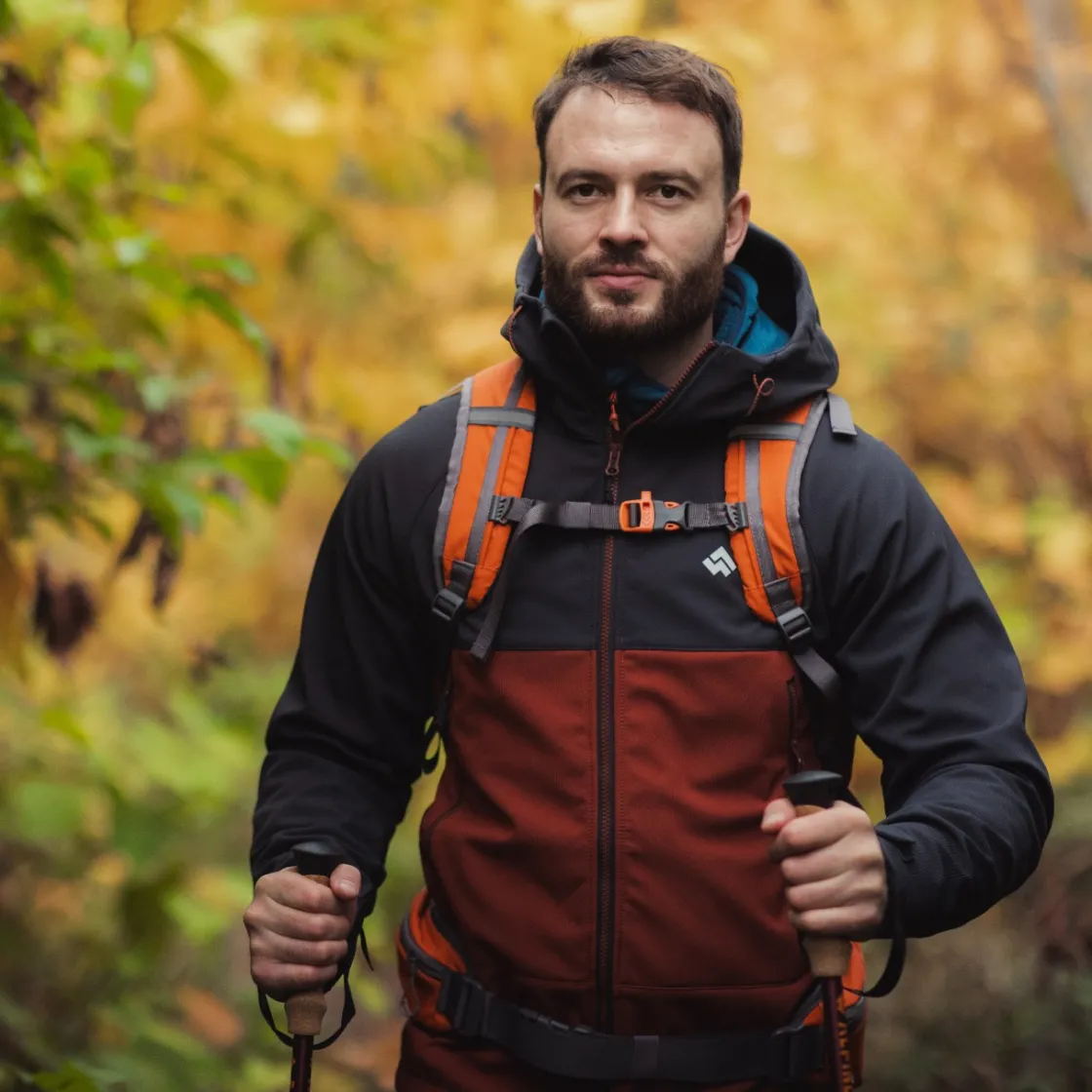 Kurtka męska softshell Pelat<Alpinus Online