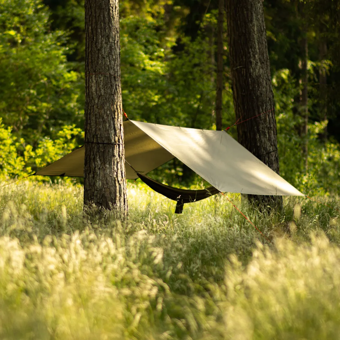 Tarp Zagros<Alpinus Discount